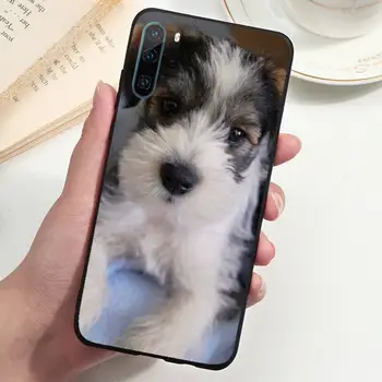 Krásne Psy, Bradáče Telefón puzdro Na Huawei P20 P30 P40 lite Pro P Smart 2019 Mate 10 20 Lite Pro Nova 5t