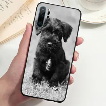 Krásne Psy, Bradáče Telefón puzdro Na Huawei P20 P30 P40 lite Pro P Smart 2019 Mate 10 20 Lite Pro Nova 5t