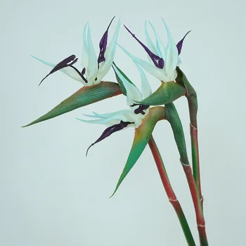 Strelitzia Vták Raja vysoko kvalitné ručne jemnú lepidlo simulácia flower art