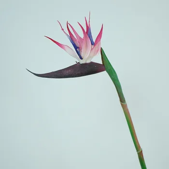 Strelitzia Vták Raja vysoko kvalitné ručne jemnú lepidlo simulácia flower art