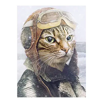 Letec Mačka Diamond Maľovanie Kolo Plné Vŕtanie Nouveaute DIY Mozaiky Výšivky 5D Cross Stitch Zvierat Vzor Kreslených