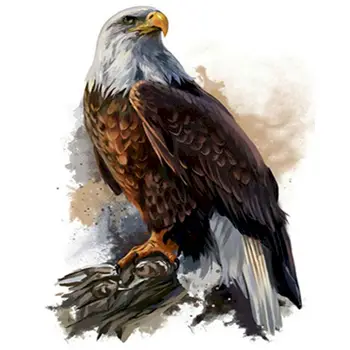 GATYZTORY 60x75cm Rám Diy Maľovanie Podľa Čísel Eagle Zvieratá, Akrylová Farba Čísla Stenu Maliarske Plátno Pre Domáce Dekoroch