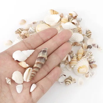 1 Balenie Tichom Shell Conch Živice Šperky Výplne, Nástroje pre KUTILOV, Epoxidové Živice Formy Kúzla Príslušenstvo Šperky Robiť
