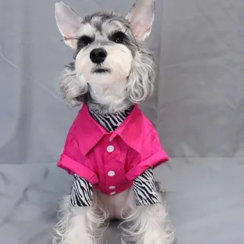 Na jar a na jeseň jednofarebné oblečenie pre psy malých psov Teddy Bradáči Bišonika oblečenie mačiatko tričko anti-vlasy padajúce šaty