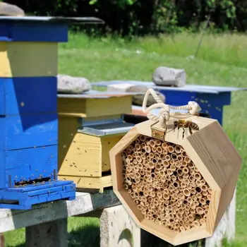 Drevené Hmyzu Bee House Hotel Prírodný Včelí Dom Úľa Biotopov Outdoor Záhrada Domov pre Ladybirds lacewings