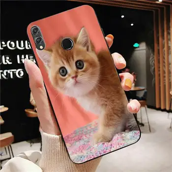 Roztomilý britská krátkosrstá mačka Telefón puzdro Na Huawei Honor 7A 8X 9 10 20lite 10i 20i 7C 8C 5A 8A Česť Hrať 9X pro Mate 20 lite