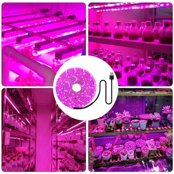 LED Wachsen Svetlo Gesamte Spektrum 5V USB Wachsen Svetlo Streifen 2835 LED Lampen Pflanzen Hydrokultur Wachsen 0,5 M 1M 2M 3M