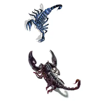 Halloween 3D simulácia Scorpion Spider Dočasné Tetovanie Nálepky Body Art Žart nepremokavé ochranu Životného prostredia