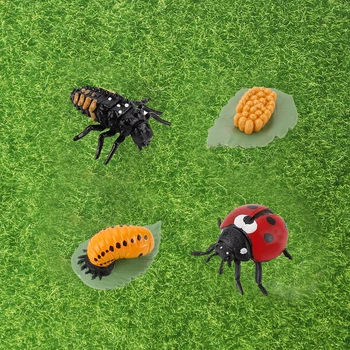 Simulácia Zvieratá Cyklu Rastu Lienka Život Slučky Figúrka Plastové Modely, Akčné Hmyzu Údaje Vzdelávacie Hračky Pre Deti,