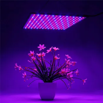Vnútorné Plné Spectrum1000W LED Rásť Svetlo 225 led hydroponics rásť auta lampa pre rastliny zelené rastliny greehouse lampa full